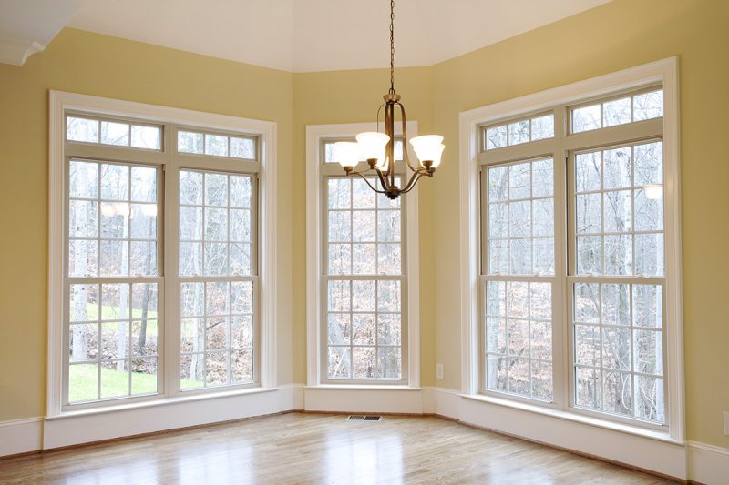 Series 450 Double Hung Window